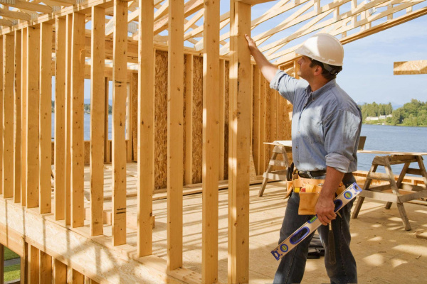 Проблемы каркасных домов